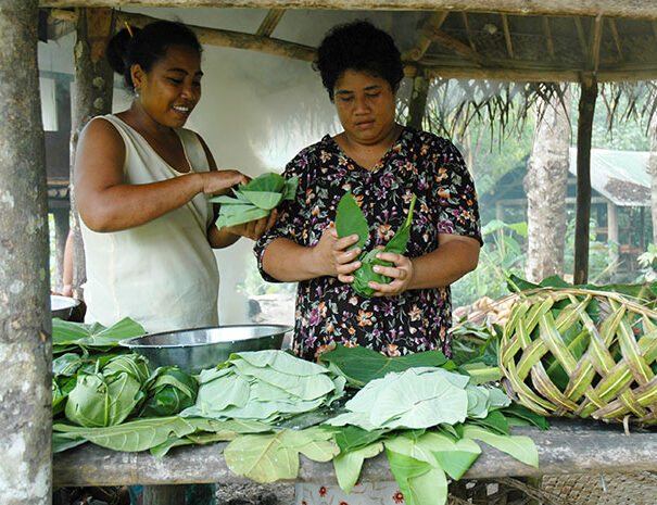 Samoa Island Tours